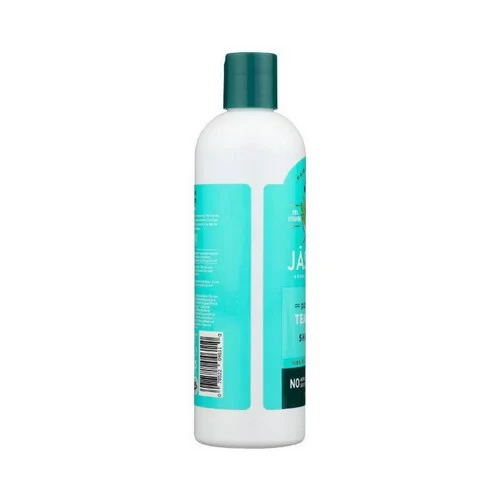 Jason Natural Products, Shampoo Tea Tree Purifying, 12 Oz - Image 3