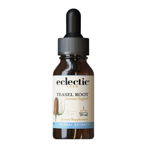 Eclectic Herb, Teasel Root, 1 Oz
